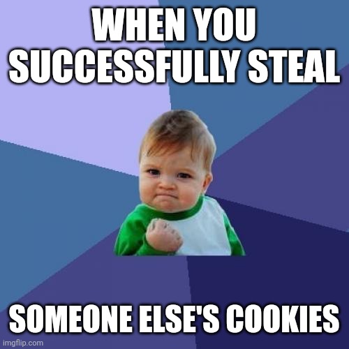 Yes! | WHEN YOU SUCCESSFULLY STEAL; SOMEONE ELSE'S COOKIES | image tagged in memes,success kid | made w/ Imgflip meme maker