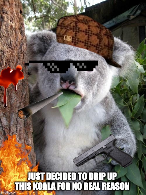 Drippy Koala | JUST DECIDED TO DRIP UP THIS KOALA FOR NO REAL REASON | image tagged in memes,surprised koala | made w/ Imgflip meme maker