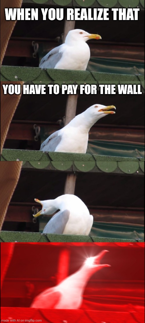 Inhaling Seagull | WHEN YOU REALIZE THAT; YOU HAVE TO PAY FOR THE WALL | image tagged in memes,inhaling seagull | made w/ Imgflip meme maker