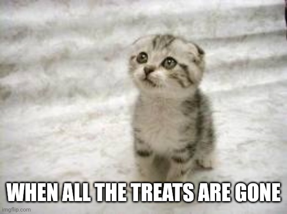 Nothing makes a cat sadder | WHEN ALL THE TREATS ARE GONE | image tagged in memes,sad cat | made w/ Imgflip meme maker