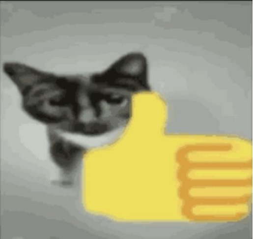 High Quality Kitten like Blank Meme Template