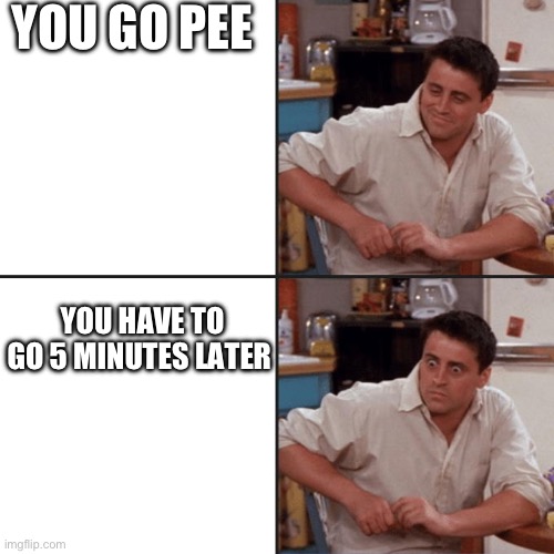 Joey Friends | YOU GO PEE; YOU HAVE TO GO 5 MINUTES LATER | image tagged in joey friends | made w/ Imgflip meme maker
