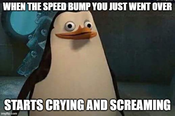 RIP | WHEN THE SPEED BUMP YOU JUST WENT OVER; STARTS CRYING AND SCREAMING | image tagged in madagascar penguin,rip | made w/ Imgflip meme maker