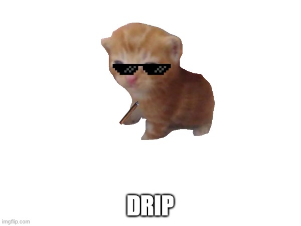 DRIP | made w/ Imgflip meme maker