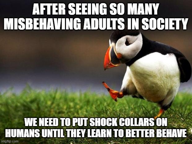 We need a discipline | AFTER SEEING SO MANY MISBEHAVING ADULTS IN SOCIETY; WE NEED TO PUT SHOCK COLLARS ON HUMANS UNTIL THEY LEARN TO BETTER BEHAVE | image tagged in memes,unpopular opinion puffin | made w/ Imgflip meme maker