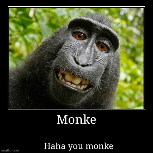Monke | Haha you monke | image tagged in funny,demotivationals | made w/ Imgflip demotivational maker