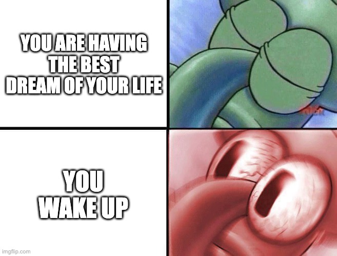 Bruh wait i need to finish the story line... | YOU ARE HAVING THE BEST DREAM OF YOUR LIFE; YOU WAKE UP | image tagged in sleeping squidward,so true memes,memes,funny,bruh,bruh moment | made w/ Imgflip meme maker