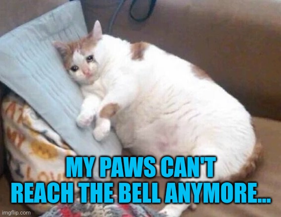 Fat Cat Crying | MY PAWS CAN'T REACH THE BELL ANYMORE... | image tagged in fat cat crying | made w/ Imgflip meme maker