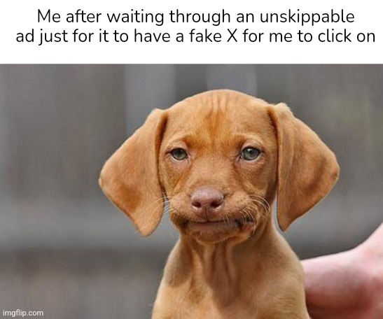 It's already annoying when it's 30 seconds long | Me after waiting through an unskippable ad just for it to have a fake X for me to click on | image tagged in dissapointed puppy,ads | made w/ Imgflip meme maker