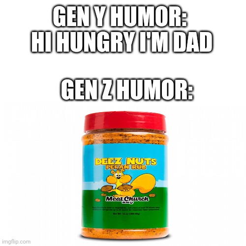 each generation has a sense of humor | GEN Y HUMOR: 
HI HUNGRY I'M DAD; GEN Z HUMOR: | image tagged in memes | made w/ Imgflip meme maker