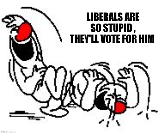 LOL Hysterically | LIBERALS ARE SO STUPID , THEY'LL VOTE FOR HIM | image tagged in lol hysterically | made w/ Imgflip meme maker