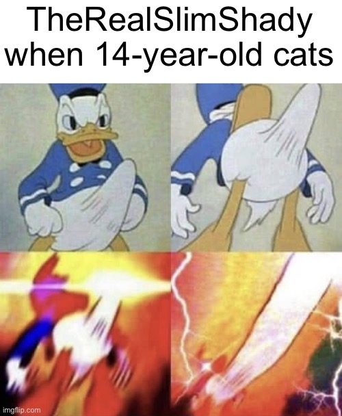 (doggie: THP when under age of consent) | TheRealSlimShady when 14-year-old cats | image tagged in donald duck erection | made w/ Imgflip meme maker