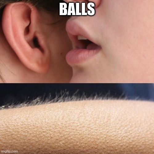 Whisper and Goosebumps | BALLS | image tagged in whisper and goosebumps | made w/ Imgflip meme maker