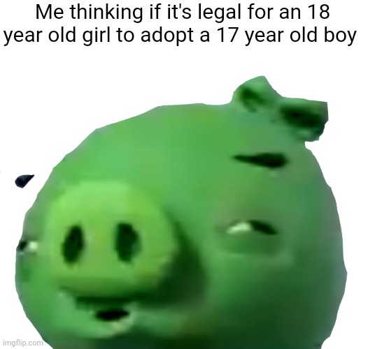 More like adopting a bf | Me thinking if it's legal for an 18 year old girl to adopt a 17 year old boy | image tagged in confused bad piggie transparent,girl,boy,adoption,confusion,funny | made w/ Imgflip meme maker