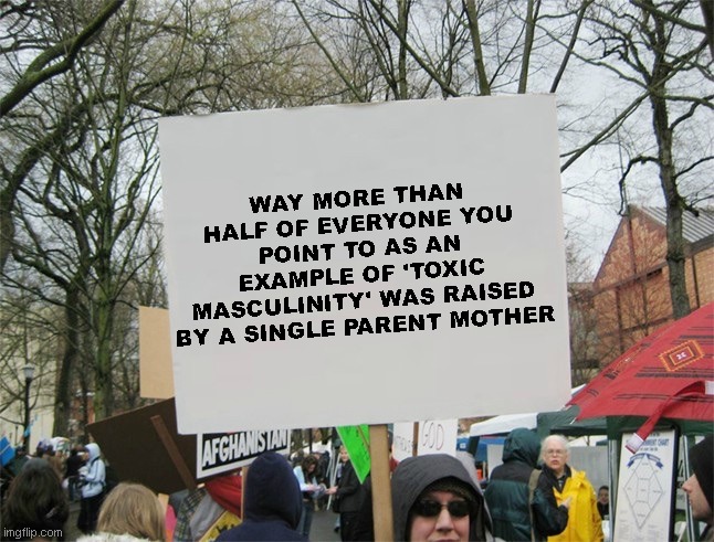 Blank protest sign | WAY MORE THAN HALF OF EVERYONE YOU POINT TO AS AN EXAMPLE OF 'TOXIC MASCULINITY' WAS RAISED BY A SINGLE PARENT MOTHER | image tagged in blank protest sign | made w/ Imgflip meme maker