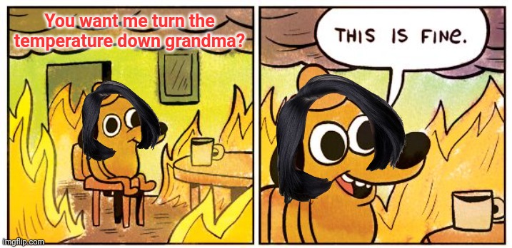 This Is Fine Meme | You want me turn the temperature down grandma? | image tagged in memes,this is fine | made w/ Imgflip meme maker