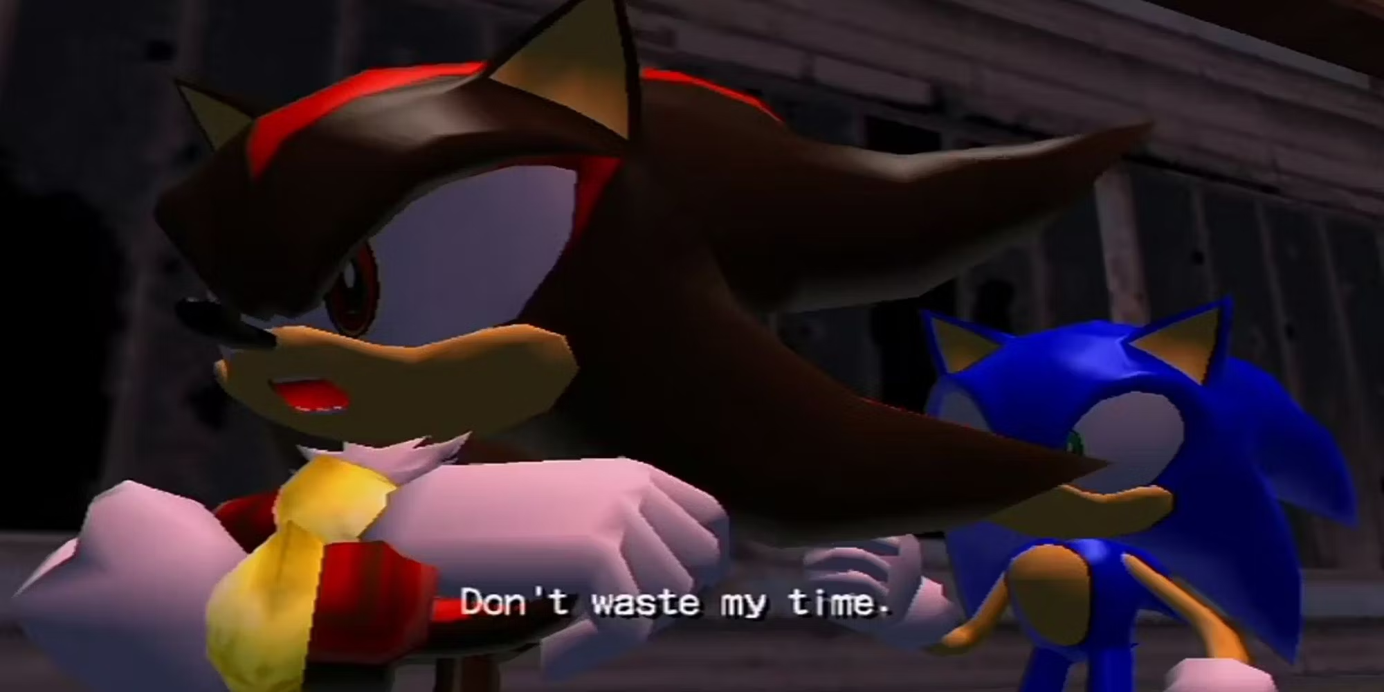 shadow dont waste my time Blank Meme Template