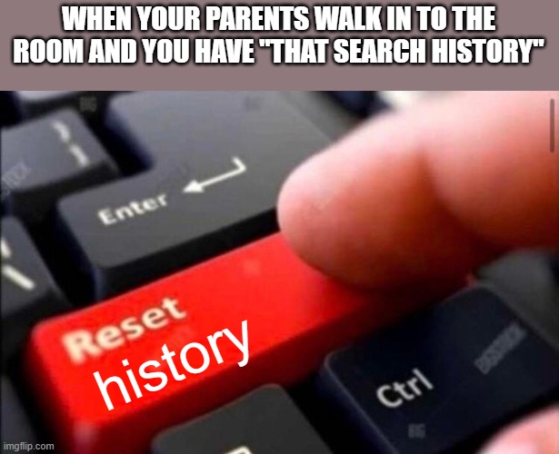 Reset button | WHEN YOUR PARENTS WALK IN TO THE ROOM AND YOU HAVE "THAT SEARCH HISTORY"; history | image tagged in reset button | made w/ Imgflip meme maker