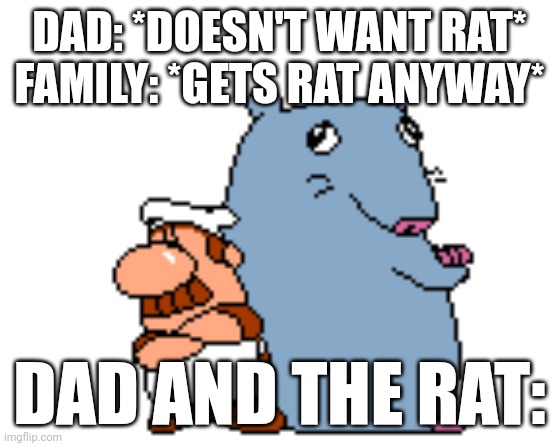 Level 5 rat | DAD: *DOESN'T WANT RAT*
FAMILY: *GETS RAT ANYWAY*; DAD AND THE RAT: | image tagged in pizza tower | made w/ Imgflip meme maker
