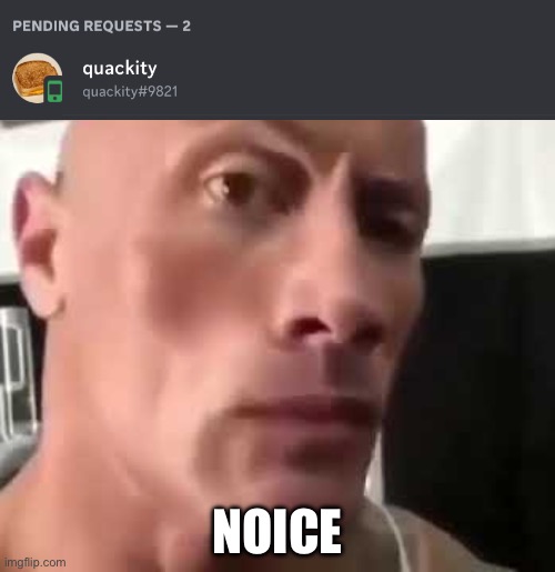 W him to turn on friend requests, but he’s probably going to get overrided by stans and not people who want yt inquires like me | NOICE | image tagged in the rock eyebrows | made w/ Imgflip meme maker