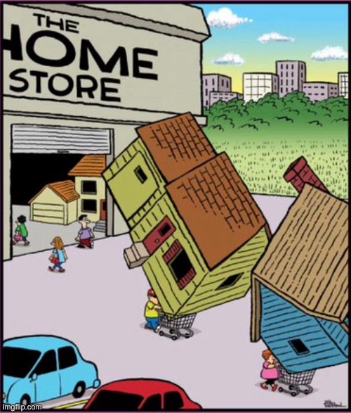 Home store | image tagged in buying houses,from the home store,take home,basket,comics | made w/ Imgflip meme maker
