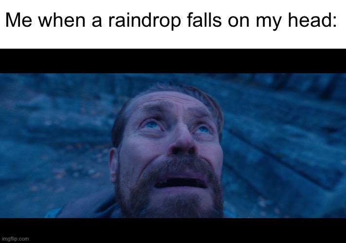 Meme #1,363 | Me when a raindrop falls on my head: | image tagged in willem dafoe looking up,rain,memes,relatable,funny,wet | made w/ Imgflip meme maker