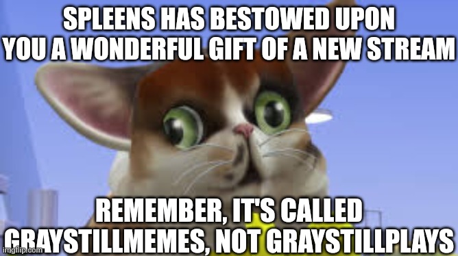 Congratulations! | SPLEENS HAS BESTOWED UPON YOU A WONDERFUL GIFT OF A NEW STREAM; REMEMBER, IT'S CALLED GRAYSTILLMEMES, NOT GRAYSTILLPLAYS | image tagged in spleensthecat | made w/ Imgflip meme maker