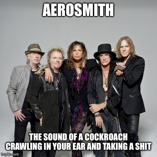 Aerosmith | AEROSMITH; THE SOUND OF A COCKROACH CRAWLING IN YOUR EAR AND TAKING A SHIT | image tagged in aerosmith | made w/ Imgflip meme maker