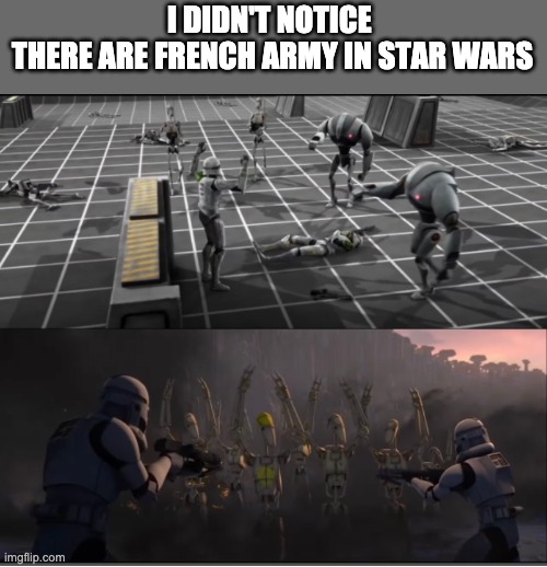 I DIDN'T NOTICE 
THERE ARE FRENCH ARMY IN STAR WARS | image tagged in star wars,french,memes | made w/ Imgflip meme maker