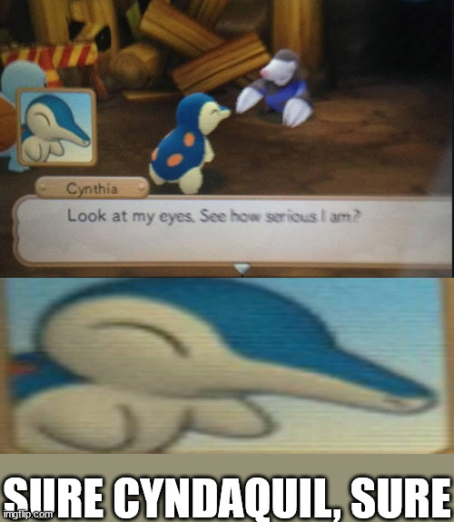 SURE CYNDAQUIL, SURE | image tagged in pokemon | made w/ Imgflip meme maker