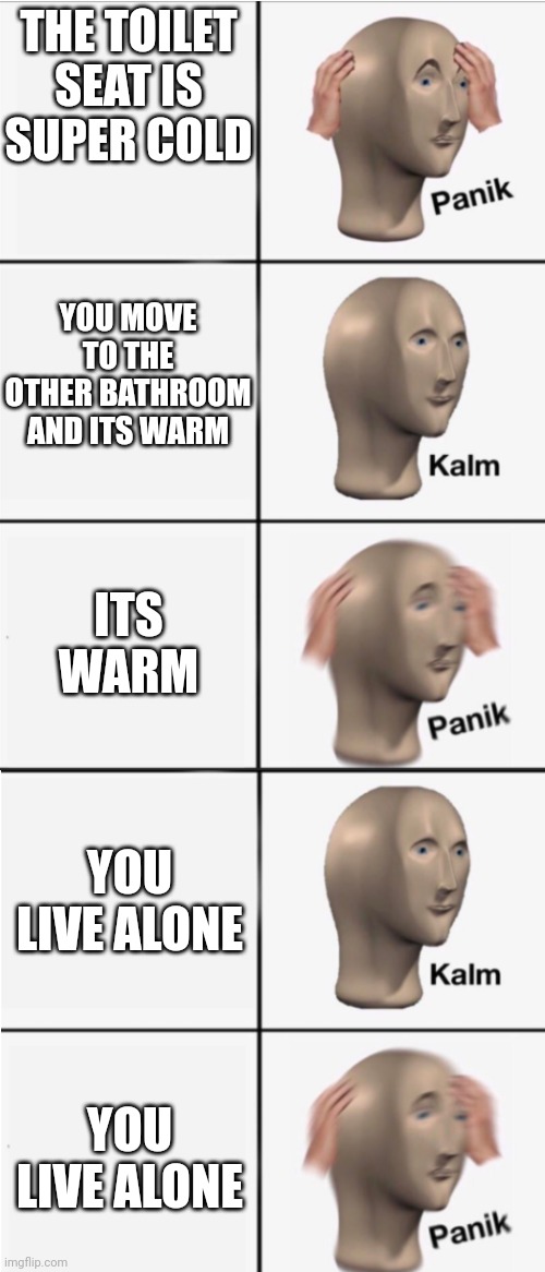 Warm toilet seat | THE TOILET SEAT IS SUPER COLD; YOU MOVE TO THE OTHER BATHROOM AND ITS WARM; ITS WARM; YOU LIVE ALONE; YOU LIVE ALONE | image tagged in panik 5 panel | made w/ Imgflip meme maker