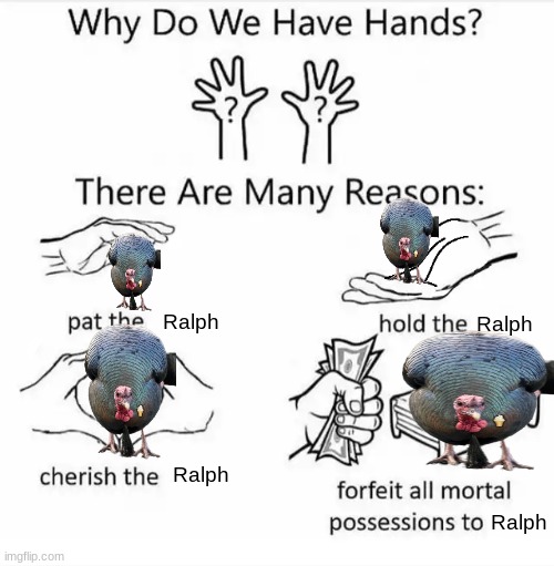 Our thick ass boy | Ralph; Ralph; Ralph; Ralph | image tagged in why do we have hands all blank | made w/ Imgflip meme maker