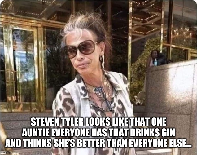 Steven Tyler is my Aunt | STEVEN TYLER LOOKS LIKE THAT ONE AUNTIE EVERYONE HAS THAT DRINKS GIN AND THINKS SHE’S BETTER THAN EVERYONE ELSE… | image tagged in steven tyler,gender,auntie | made w/ Imgflip meme maker