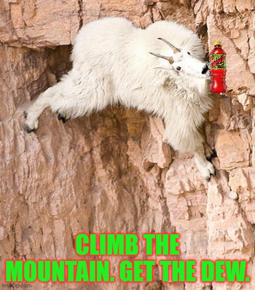 mountain goat | CLIMB THE MOUNTAIN. GET THE DEW. | image tagged in mountain goat | made w/ Imgflip meme maker