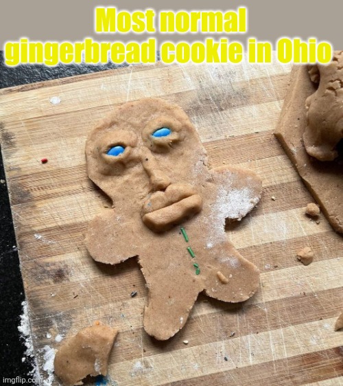 Most normal gingerbread cookie in Ohio | made w/ Imgflip meme maker
