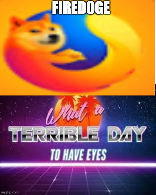 IDK why i stretched | FIREDOGE | image tagged in what a terrible day to have eyes | made w/ Imgflip meme maker