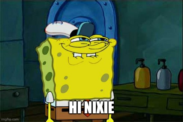 Don't You Squidward Meme | HI NIXIE | image tagged in memes,don't you squidward | made w/ Imgflip meme maker