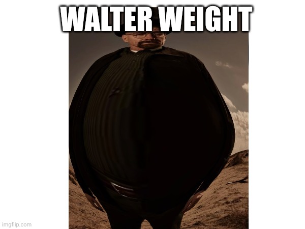 Walterkadoavocado | WALTER WEIGHT | image tagged in breaking bad,walter white | made w/ Imgflip meme maker