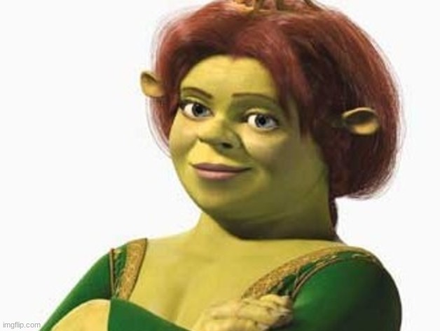 image tagged in princess fiona | made w/ Imgflip meme maker