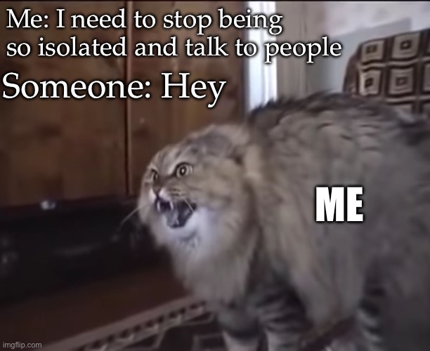 Talk to people? | Me: I need to stop being so isolated and talk to people; Someone: Hey; ME | image tagged in hissing cat,people,isolation,antisocial,me,cat meme | made w/ Imgflip meme maker