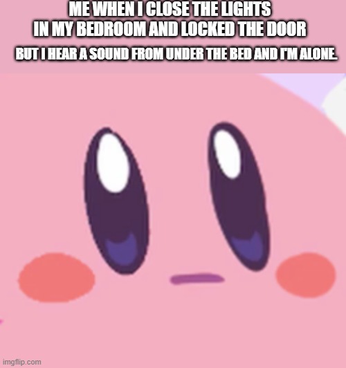 based on a true story from yesterday | ME WHEN I CLOSE THE LIGHTS IN MY BEDROOM AND LOCKED THE DOOR; BUT I HEAR A SOUND FROM UNDER THE BED AND I'M ALONE. | image tagged in blank kirby face,oh no | made w/ Imgflip meme maker