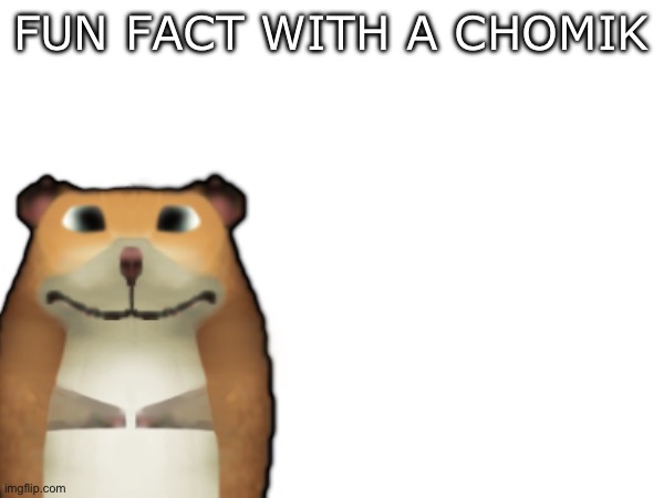 High Quality Fun Fact with a Chomik Blank Meme Template