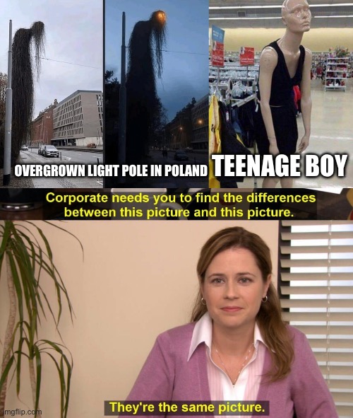 Same thing | TEENAGE BOY; OVERGROWN LIGHT POLE IN POLAND | image tagged in teenage mannequin,they are the same picture,light pole,poland | made w/ Imgflip meme maker