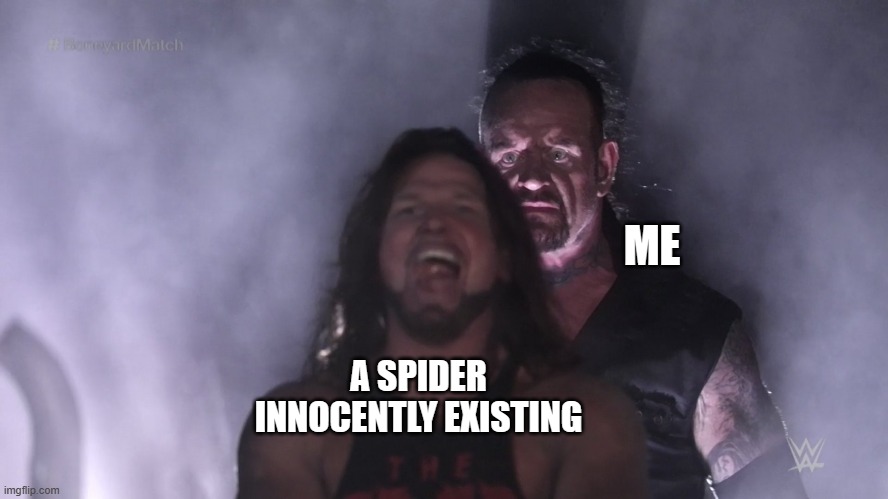 let's make spiders extinct | ME; A SPIDER INNOCENTLY EXISTING | image tagged in undertaker teleports behind aj styles,spider | made w/ Imgflip meme maker
