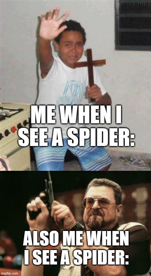 untitled | ME WHEN I SEE A SPIDER:; ALSO ME WHEN I SEE A SPIDER: | image tagged in scared kid,memes,am i the only one around here,spider | made w/ Imgflip meme maker