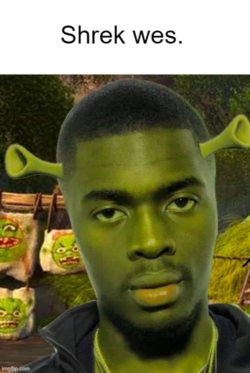 Mo bamba song rapper guy but shrek | Shrek wes. | image tagged in shrek wes,sheck wes | made w/ Imgflip meme maker