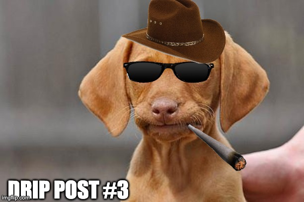 Drip post #3 | DRIP POST #3 | image tagged in dissapointed puppy,drip | made w/ Imgflip meme maker