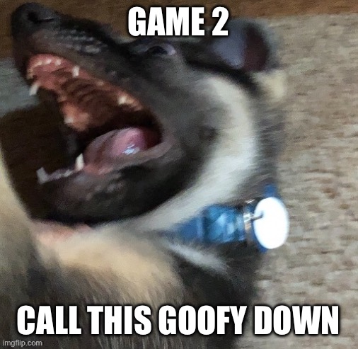 angy doggo | GAME 2; CALL THIS GOOFY DOWN | image tagged in angy doggo | made w/ Imgflip meme maker
