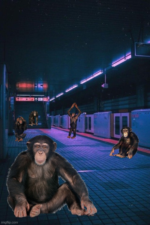 new aesthetic: chimpcore | made w/ Imgflip meme maker