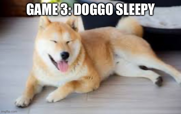 GAME 3: DOGGO SLEEPY | made w/ Imgflip meme maker